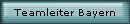 Teamleiter Zehnkampf 